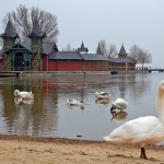 balaton10