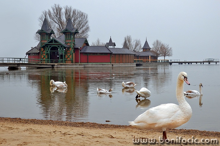 balaton10