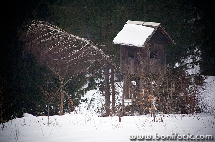 cekamrkopalj1
