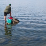 people___Patience___Punat, Croatia.