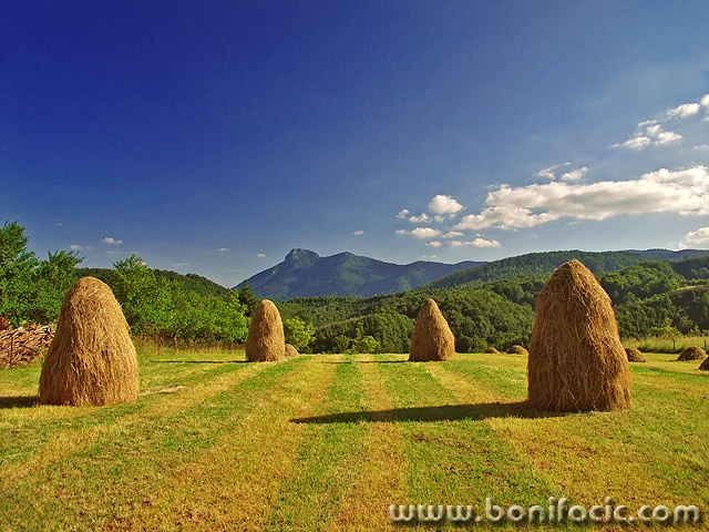 nature___Stacks___Gomirje, Croatia.