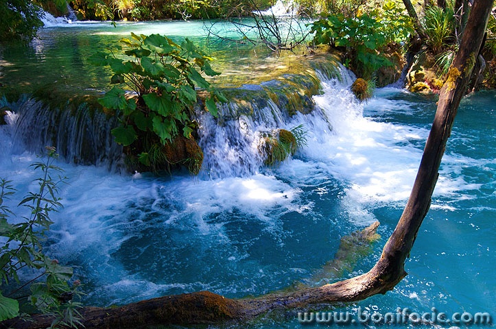 D2X_4699 copy copymal