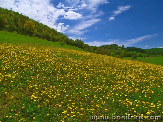 nature___Lea___Josipdol, Croatia.