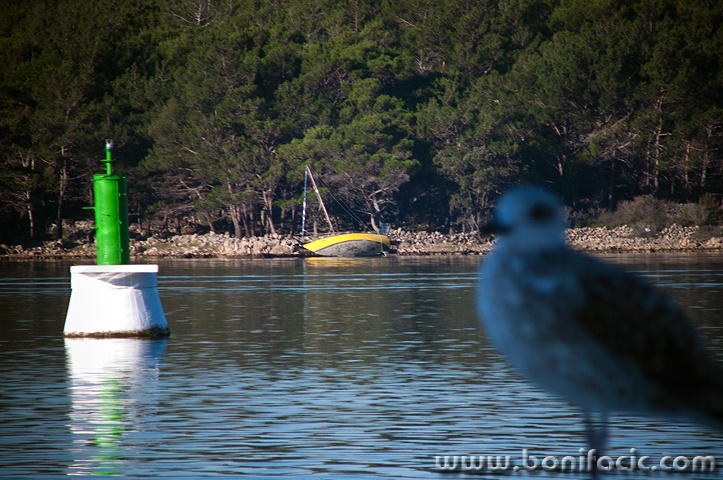 svjetionikgalebjedrilicanasukana1