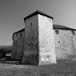 ribnik7BW