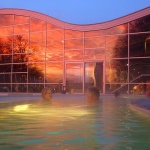 termesvetimartin1mal