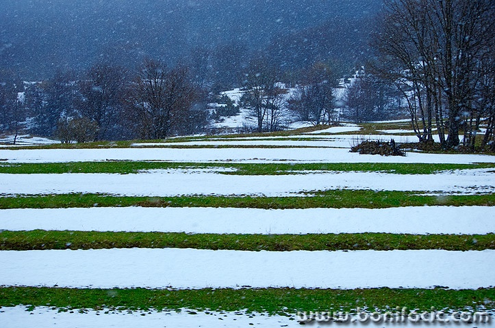 kapelamecavapolje2mal