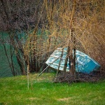 camaczvecajmreznica1mal