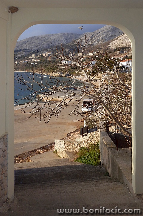 starabaskaskalelastavica1mal