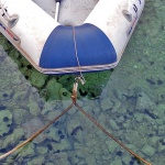 starabaskagumenjak1mal