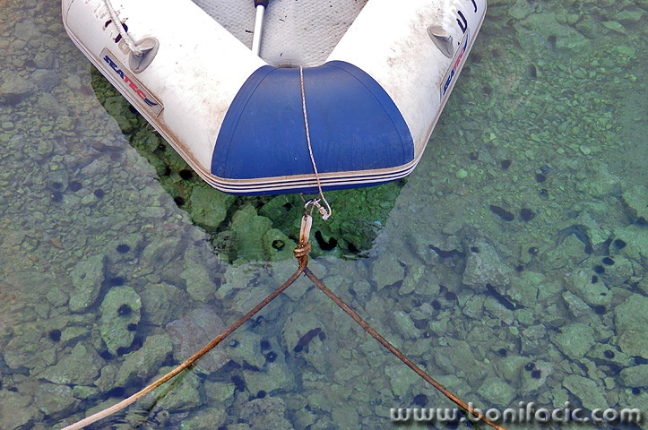 starabaskagumenjak1mal