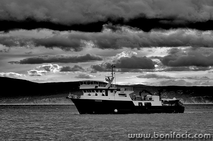 ribarskibrodnjivicegolovik1BWmal