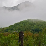 velebitmaglapanj1mal