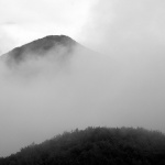 velebitmaglabrdo1mal