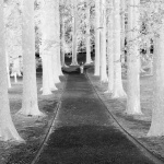 20160704_083301-480x640