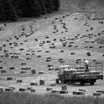 likabalesenotraktor1BWmal