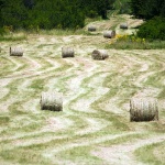 balepoljepokoseno7mal