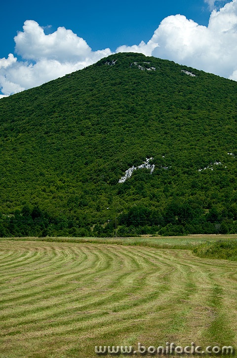 travapokosenalika4mal