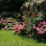 dvorroziceljubosina1mal