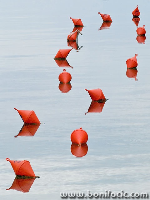 stilllife___Anchorage___Punat, Croatia.
