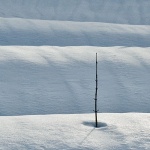 stilllife___Antenna___Crni Lug, Croatia.