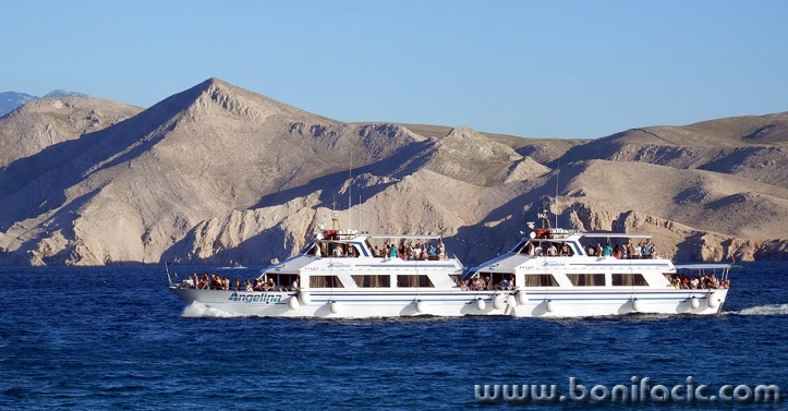 angelinaprvicdoublepanoDA1mal