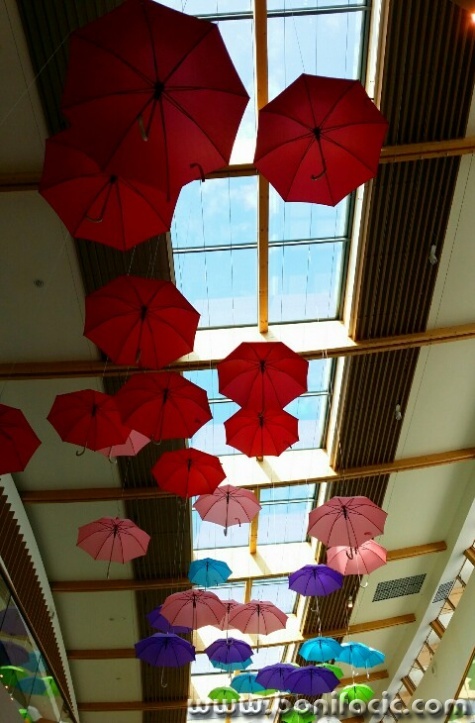 20160821_210209-480x730