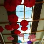 20160821_210209-480x730