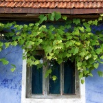 stilllife___Awning___Gomirje, Croatia.