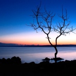 stilllife___Bleak___Punat, Croata.