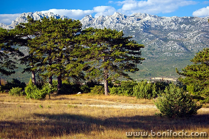 velebit3mal