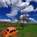 stilllife___Blushing___Kordun, Croatia.