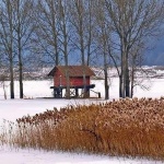 nature___Vaibility___Svica, Croatia.