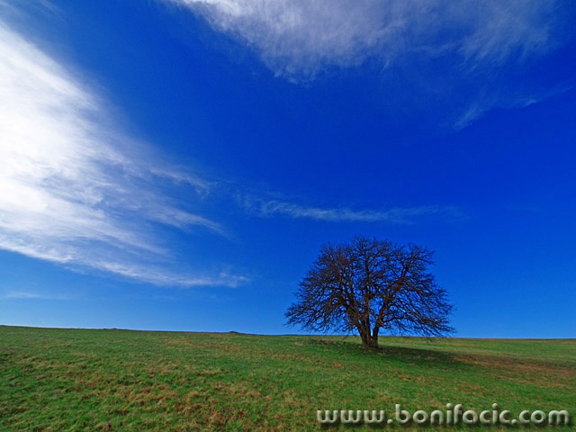 stilllife___Boss___Jezerane, Croatia.