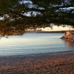 20161101_070827-723x480