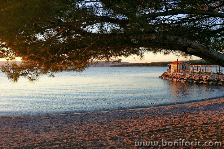 20161101_070827-723x480