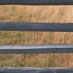stilllife___Cage___National Park Northern Velebit, Croatia.