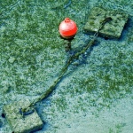 stilllife___Chain Engaged___Sveti Marak, Croatia.