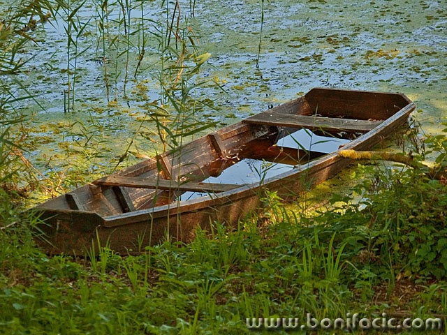 stilllife___Camouflaged___Kriznica, Croatia.