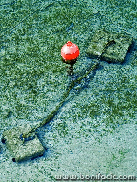 stilllife___Chain Engaged___Sveti Marak, Croatia.