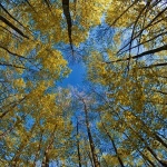 nature___Woodstock___National Park Northern Velebit, Croatia.