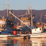 stilllife___Day Off___Rijeka, Croatia.