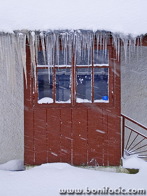 stilllife___Denture___Zelin Mrzlovodicki, Croatia.