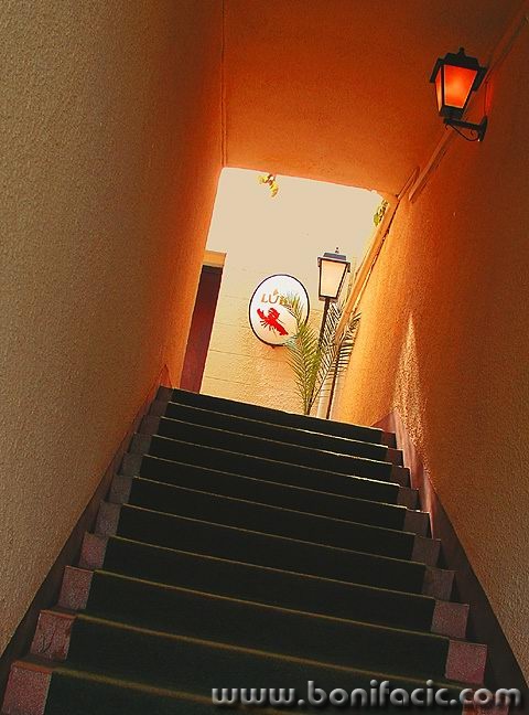 stilllife___Drop Too Much___Crikvenica, Croatia.