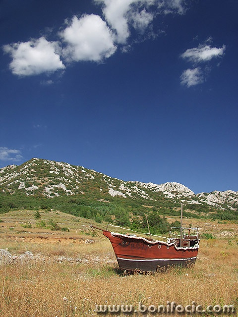 stilllife___Dryness___Baska, Croatia.