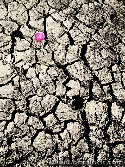 stilllife___Ebbtide___Punat, Croatia.