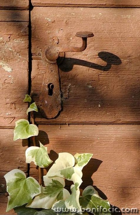 stilllife___Enter___Punat, Croatia.