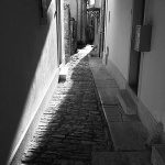 buzet5BWmal