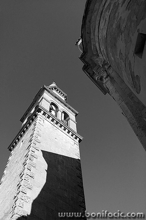 buzet7BWmal
