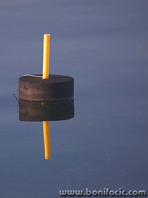 stilllife___Enchain___Punat, Croatia.